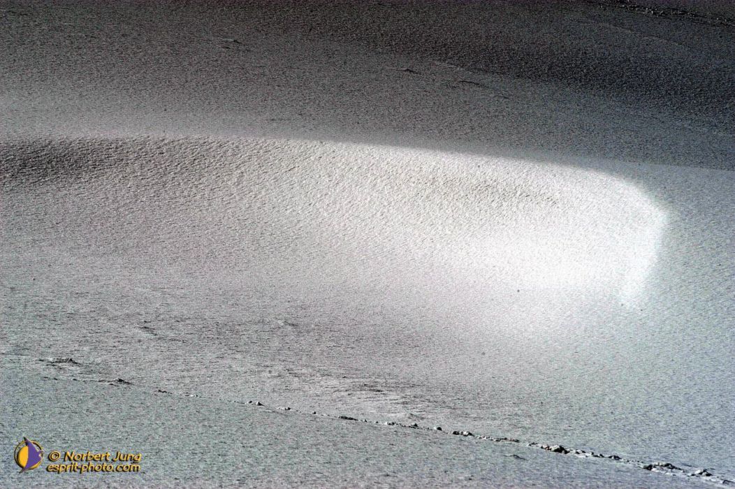 Nom de l'image : D1112166-nef-01_(c)Norbert-JUNG — Description :